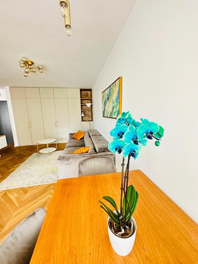 Bel Dom - The Central, Spacious 2 Rooms Luxury Apartment คลูจ-นาโปกา ภายนอก รูปภาพ
